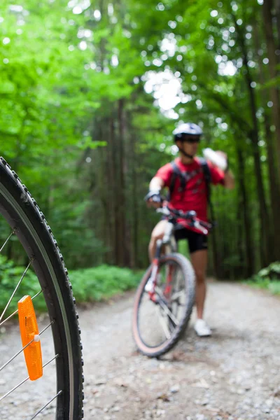 Ciclismo de montaña en un bosque - ciclistas en una pista de ciclismo forestal (s) — Foto de Stock