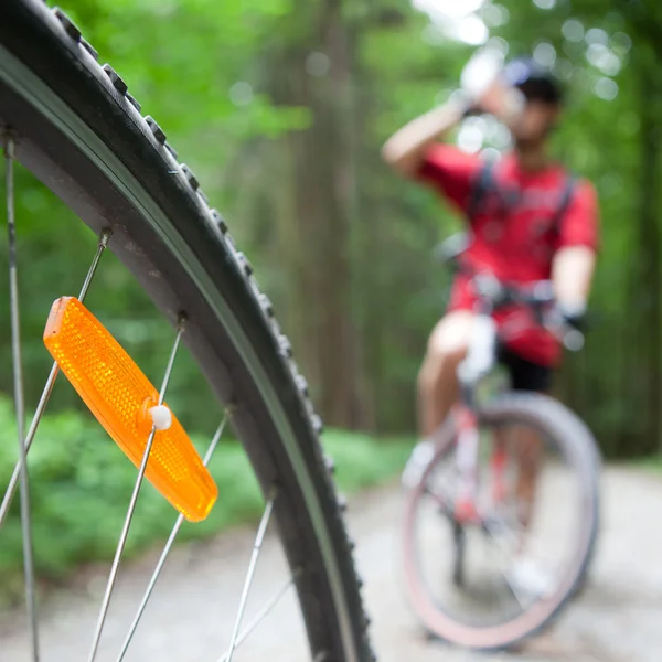 Mountainbiken im Wald - Biker auf einem Waldradweg — Stockfoto