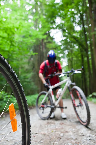 Mountain bike in una foresta - ciclisti su una pista ciclabile foresta (s — Foto Stock