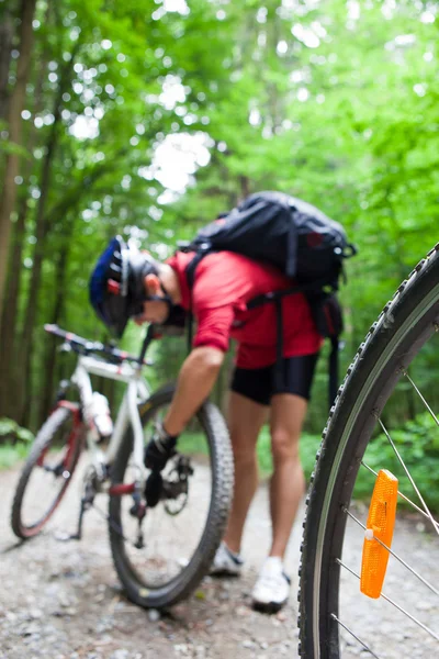 Mountainbiken in een forest - fietsers op een fiets bospad (s — Stockfoto