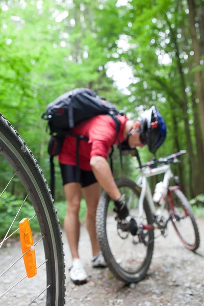 VTT dans une forêt - cyclistes sur une piste cyclable forestière (s) — Photo