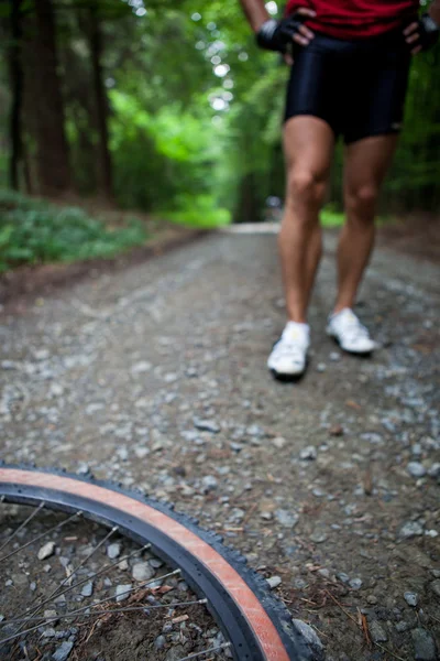 山地自行车在森林-(s 的森林自行车道上骑自行车的人 — 图库照片