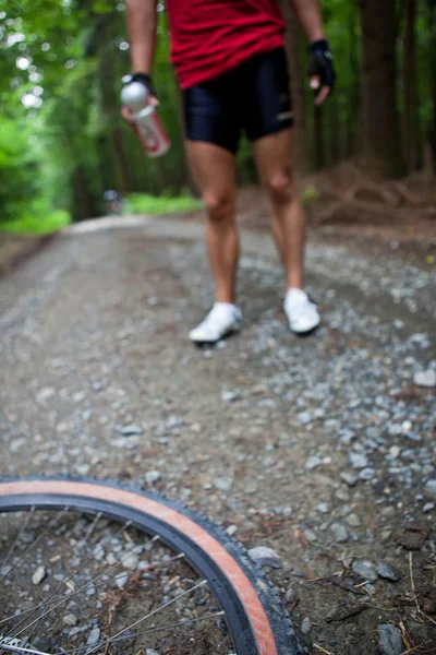 山地自行车在森林-(s 的森林自行车道上骑自行车的人 — 图库照片