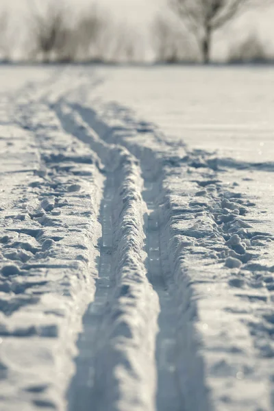 Cross-country ski trail in a snowy field (lit by warm, late afte — Φωτογραφία Αρχείου