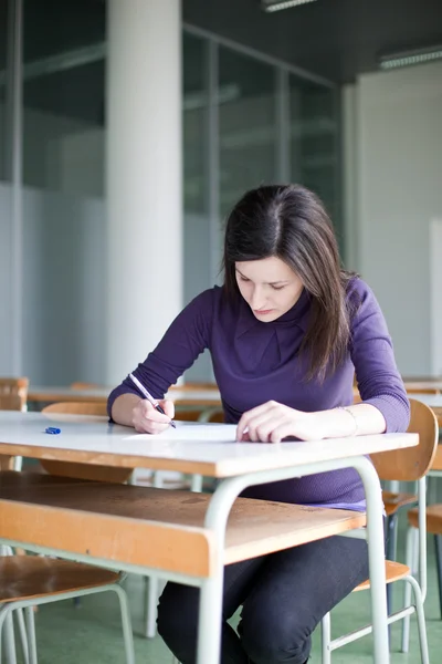 Retrato de um estudante universitário bonito que trabalha em uma sala de aula — Fotografia de Stock