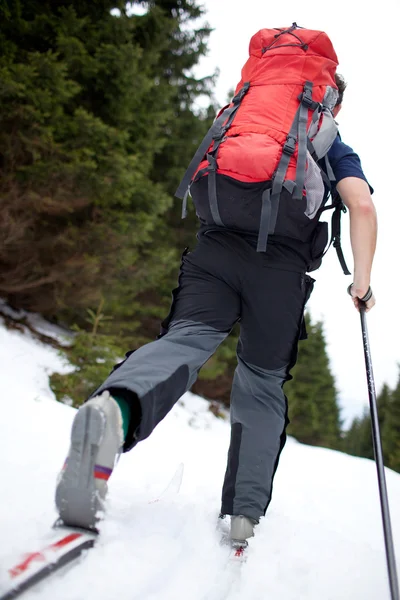 在白雪皑皑的森林步道上的年轻男子越野滑雪 — 图库照片