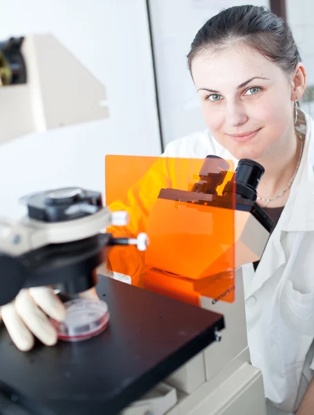Pesquisador muito feminino usando um microscópio em um laboratório — Fotografia de Stock