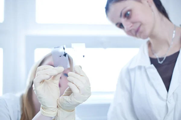 Dwóch kobiet-naukowców sprawdzanie wyników badań w biochemik — Zdjęcie stockowe