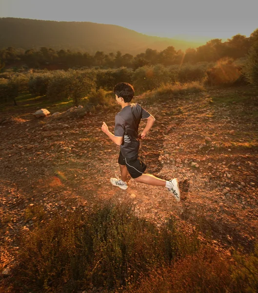 Runner in movimento attraverso il paesaggio illuminato dal sole . — Foto Stock