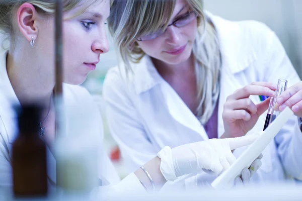Две женщины-исследователя проводят исследования в химической лаборатории — стоковое фото