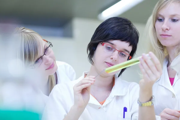 Thre kvinnliga forskare som bedriver forskning i en kemi lab — Stockfoto