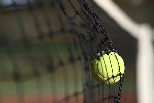 Pelota de tenis en la red —  Fotos de Stock