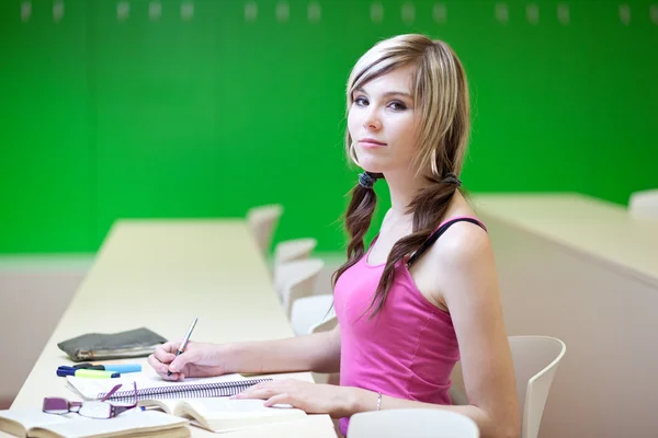 Portrait of a pretty young college student in a classroom — Stock Photo, Image