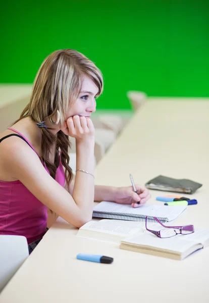 Portrait of a pretty young college student in a classroom — Stock Photo, Image