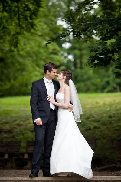 Lovely young wedding couple - freshly wed groom and bride posing — Stock Photo, Image