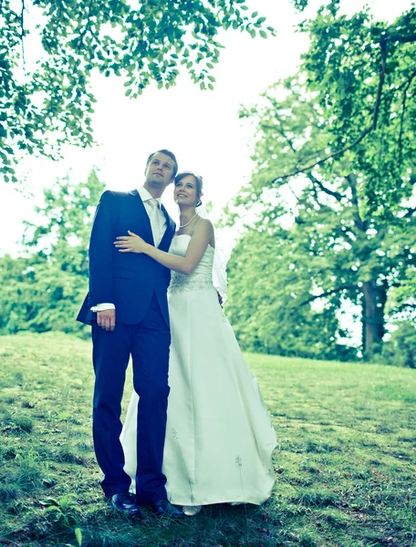 Schönes junges Hochzeitspaar - frisch vermählter Bräutigam und Braut posieren — Stockfoto