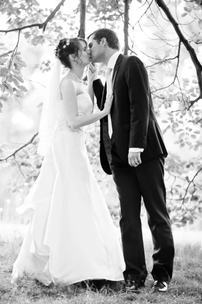 Härlig ung bröllop par - färska ons brudgum och brud poserar — Stockfoto