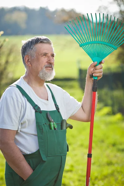Ritratto di un uomo anziano che fa giardinaggio nel suo giardino (colore tonico im — Foto Stock