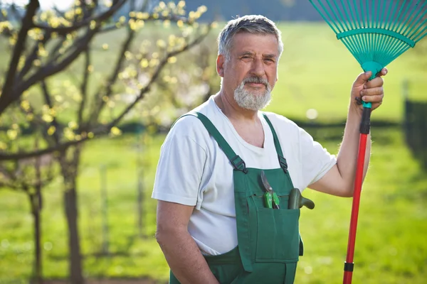 Portrait of a senior man gardening in his garden (color toned im — Stock Photo, Image
