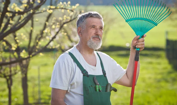 Portrait of a senior man gardening in his garden (color toned im — Stock Photo, Image