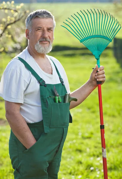 年配の男性が彼の庭でガーデニングの肖像画 (色トーンの im — ストック写真