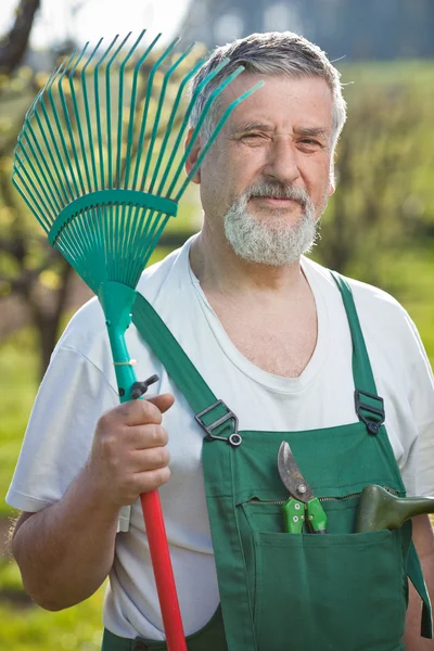그의 정원에서 원 예 수석 남자의 초상화 (컬러 톤 임 — 스톡 사진