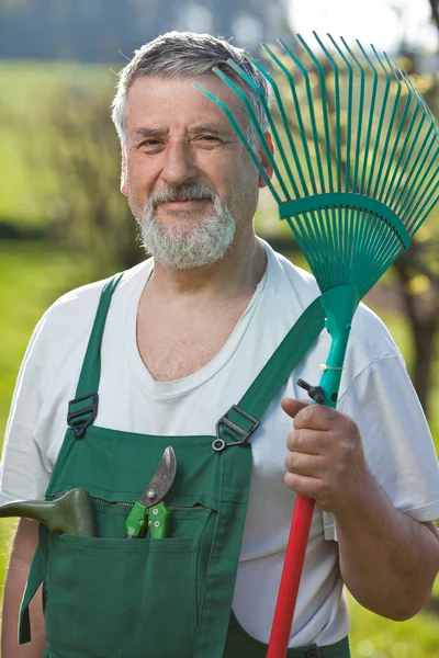 Retrato de un hombre mayor jardinería en su jardín (color tonificado im —  Fotos de Stock