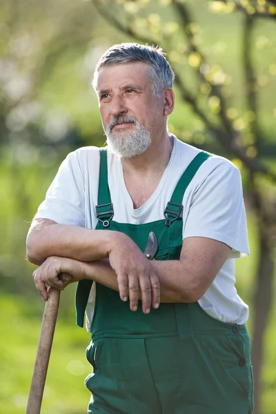 Portrait d'un homme âgé jardinage dans son jardin (couleur tonique im — Photo
