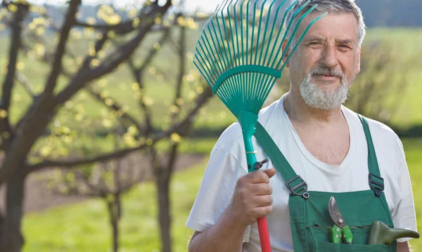 年配の男性が彼の庭でガーデニングの肖像画 (色トーンの im — ストック写真