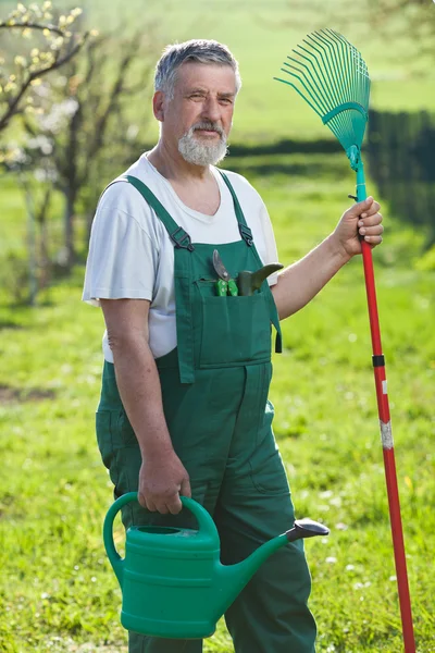 그의 정원에서 원 예 수석 남자의 초상화 (컬러 톤 임 — 스톡 사진