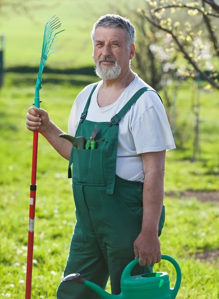 Porträtt av en äldre man trädgårdsskötsel i sin trädgård (färgen tonas im — Stockfoto