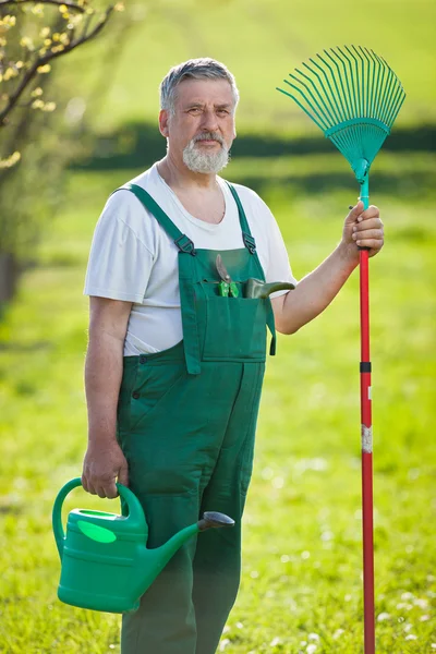 Portret van een senior man in zijn tuin tuinieren (kleur afgezwakt im — Stockfoto