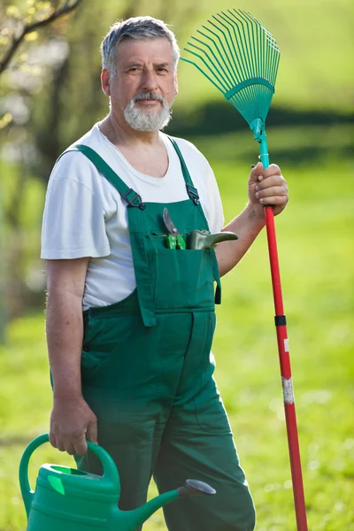 Ritratto di un uomo anziano che fa giardinaggio nel suo giardino (colore tonico im — Foto Stock