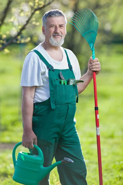 Portrait d'un homme âgé jardinage dans son jardin (couleur tonique im — Photo