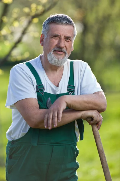 Портрет пожилого человека, занимающегося садоводством в саду (цветной тонированный им — стоковое фото
