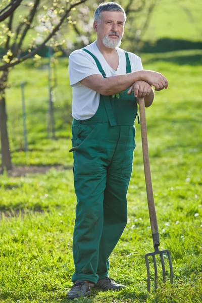 Πορτρέτο του ένας ανώτερος άνθρωπος κηπουρική στον κήπο του (χρώμα τονισμένα im — Φωτογραφία Αρχείου