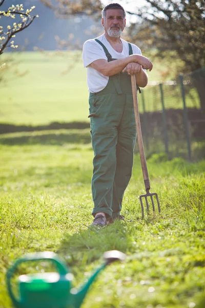 Retrato de un hombre mayor jardinería en su jardín — Foto de Stock