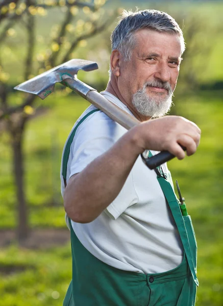 Porträt eines älteren Mannes, der in seinem Garten gärtnert — Stockfoto