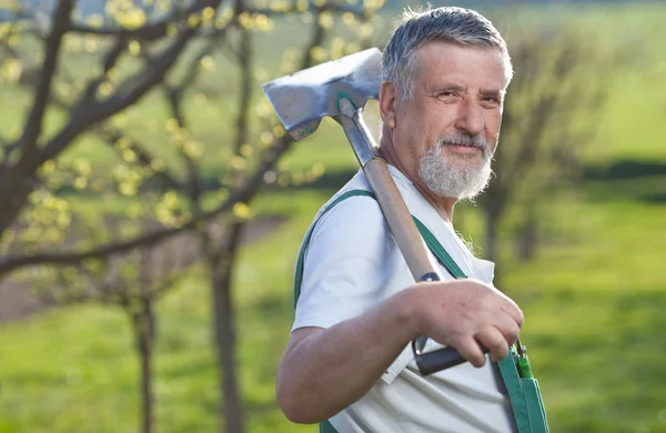 Portrét starší muže zahradnictví v jeho zahradě — Stock fotografie