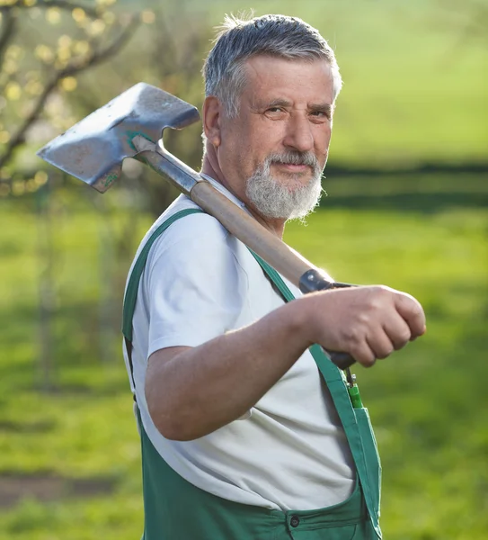 Portrait d'un homme âgé jardinier dans son jardin — Photo