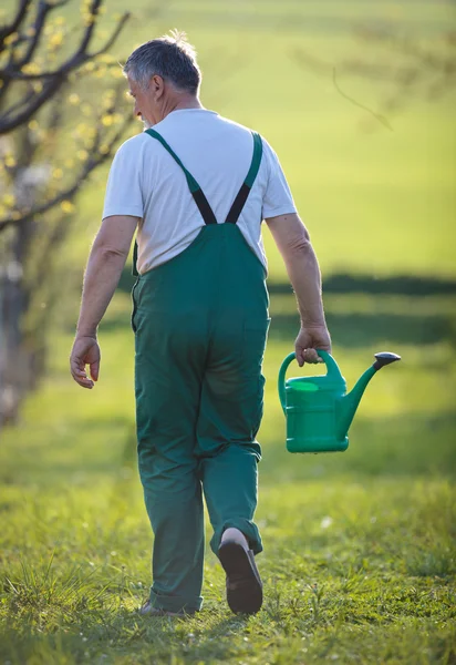 Retrato de um homem sênior jardinagem em seu jardim — Fotografia de Stock
