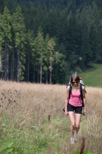 (上り坂に行くハイキングの若い女性) — ストック写真