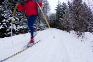 Young man cross-country skiing on a snowy forest trail clipart