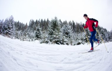 genç adam Kayak snowy orman iz üzerinde