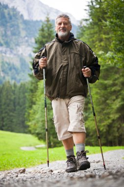 Active handsome senior man nordic walking outdoors clipart