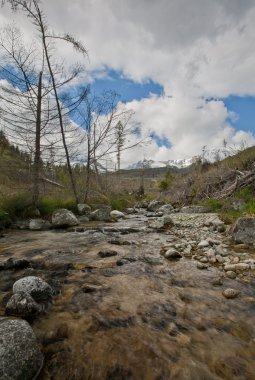 güzel dağ manzarası