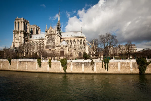 Вид церкви Notre dame de Paris сбоку — стоковое фото