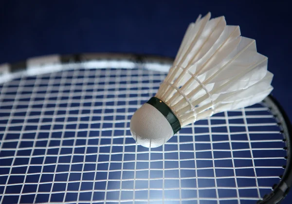 Badmintonracket och badmintonbollen på dess strängar — Stockfoto