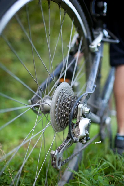 Ciclismo - rueda trasera de la bicicleta de montaña de una joven en un verde — Foto de Stock