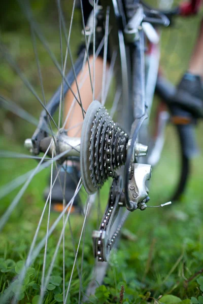 Bicicletta - ruota posteriore della mountain bike di una giovane donna su un green — Foto Stock